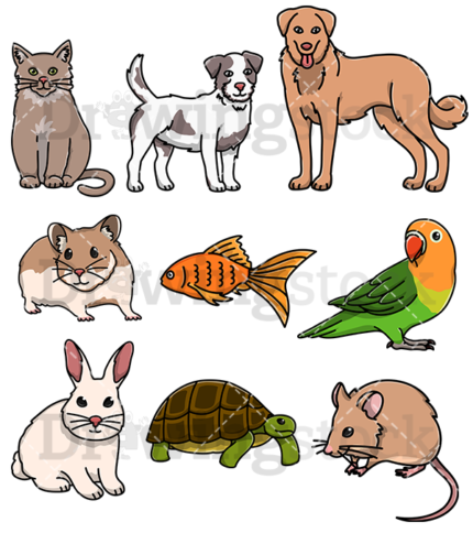 Domestic animals collection watermark 600x676