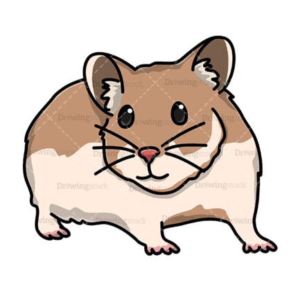 Hamster watermark
