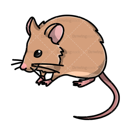 Mice watermark