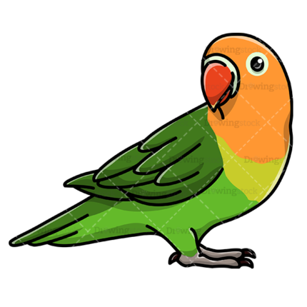 Parrot watermark