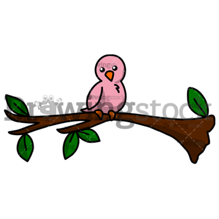 A little pink bird sitting on a branch