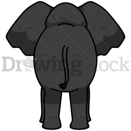 Elephant With Rear Views Watermark
